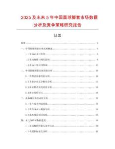 2025及未來5年中國圓球腳套市場數(shù)據(jù)分析及競爭策略研究報告