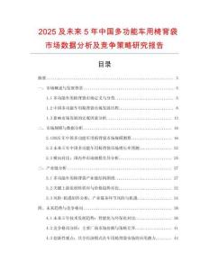 2025及未來5年中國多功能車用椅背袋市場(chǎng)數(shù)據(jù)分析及競(jìng)爭策略研究報(bào)告