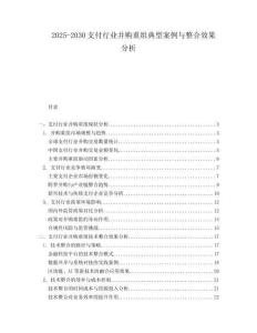 2025-2030支付行業(yè)并購重組典型案例與整合效果分析