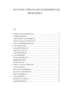 2025至2030中國離子注入機(jī)行業(yè)市場深度研究與戰(zhàn)略咨詢分析報(bào)告