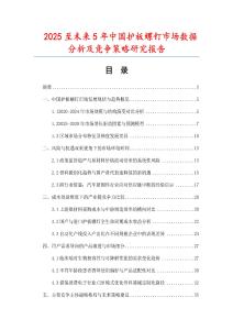 2025至未來(lái)5年中國(guó)護(hù)板螺釘市場(chǎng)數(shù)據(jù)分析及競(jìng)爭(zhēng)策略研究報(bào)告