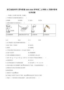 浙江省溫州環大羅山聯盟2025-2026學年高二上學期11月期中考試化學試卷