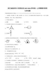 浙江省溫州市十校聯合體2025-2026學年高一上學期11月期中考試化學試卷