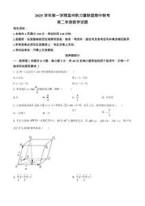 浙江省溫州市新力量聯盟2025-2026學年高二上學期11月期中考試數學試卷