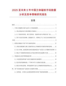 2025至未來5年中國方體磁鐵市場數(shù)據(jù)分析及競爭策略研究報告