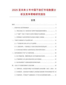 2025至未來5年中國不夜燈市場數據分析及競爭策略研究報告