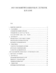 2025-2030玻璃纖維行業(yè)強(qiáng)拉絲技術(shù)工藝升級(jí)市場(chǎng)競(jìng)爭(zhēng)力分析