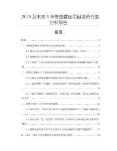 2025及未來5年帶墊螺絲項目投資價值分析報告