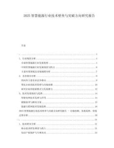 2025智慧能源行業(yè)技術(shù)壁壘與突破方向研究報(bào)告