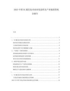 2025中國5G通信技術商業(yè)化進程及產業(yè)鏈投資機會報告