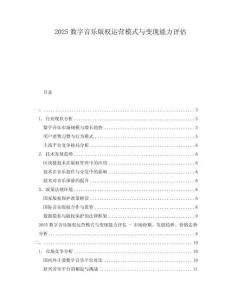 2025數(shù)字音樂版權(quán)運(yùn)營模式與變現(xiàn)能力評(píng)估