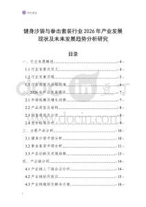 健身沙袋與拳擊套裝行業2026年產業發展現狀及未來發展趨勢分析研究