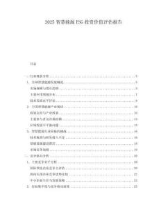 2025智慧能源ESG投资价值评估报告