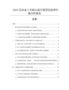 2025及未來5年胎頭吸引泵項目投資價值分析報告