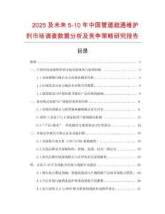 2025及未來5-10年中國管道疏通維護劑市場調查數據分析及競爭策略研究報告