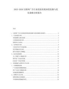 2025-2030互聯(lián)網(wǎng)廣告行業(yè)投放效果深度監(jiān)測與優(yōu)化策略分析報告