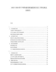 2025-2030骨干網(wǎng)絡(luò)建設(shè)提速提質(zhì)信息工程實(shí)踐總結(jié)報(bào)告