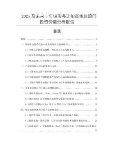 2025及未來5年鉗形多功能查線儀項(xiàng)目投資價(jià)值分析報(bào)告