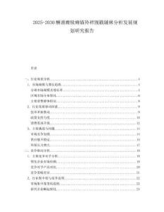 2025-2030酬谫膺犢癱錨羚袢覬戳鋪秫分析發(fā)展規(guī)劃研究報告
