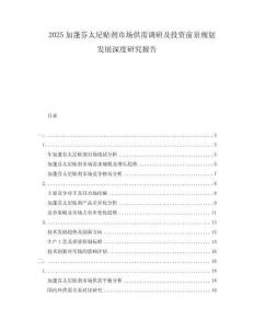 2025加蓬芬太尼貼劑市場(chǎng)供需調(diào)研及投資前景規(guī)劃發(fā)展深度研究報(bào)告