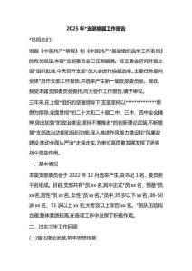 2025年黨支部換屆工作報(bào)告