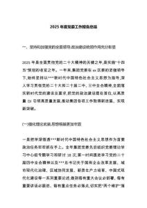 2025年度黨委工作報(bào)告總結(jié)