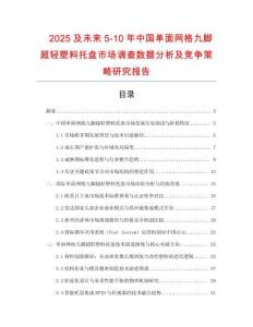 2025及未來5-10年中國單面網(wǎng)格九腳超輕塑料托盤市場調(diào)查數(shù)據(jù)分析及競爭策略研究報告