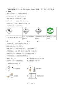 2025-2026學年山東省濰坊市高密市九年級（上）期中化學試卷（含答案）