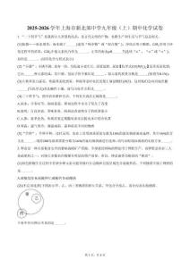 2025-2026學年上海市新北郊中學九年級（上）期中化學試卷（含答案）