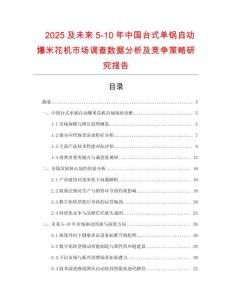 2025及未來5-10年中國臺式單鍋自動爆米花機市場調查數據分析及競爭策略研究報告