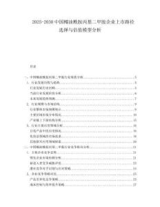 2025-2030中国椰油酰胺丙基二甲胺企业上市路径选择与估值模型分析
