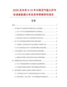 2025及未來5-10年中國沼氣猛火爐市場調(diào)查數(shù)據(jù)分析及競爭策略研究報告