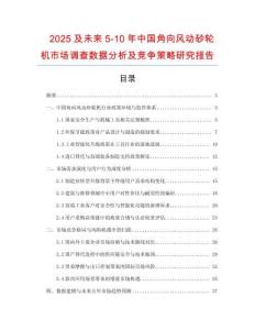 2025及未來5-10年中國角向風動砂輪機市場調查數據分析及競爭策略研究報告