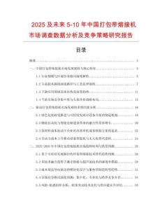 2025及未來5-10年中國打包帶熔接機市場調查數據分析及競爭策略研究報告