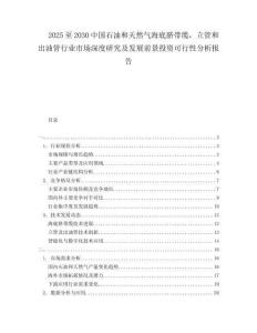 2025至2030中國石油和天然氣海底臍帶纜，立管和出油管行業(yè)市場深度研究及發(fā)展前景投資可行性分析報告