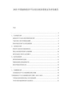 2025中國深海鉆井平臺高壓密封系統(tǒng)安全評估報告