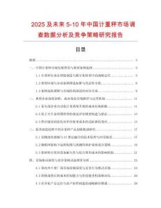 2025及未来5-10年中国计重秤市场调查数据分析及竞争策略研究报告