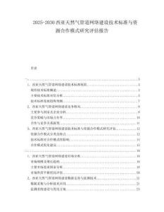 2025-2030西亞天然氣管道網(wǎng)絡(luò)建設(shè)技術(shù)標(biāo)準(zhǔn)與資源合作模式研究評估報告