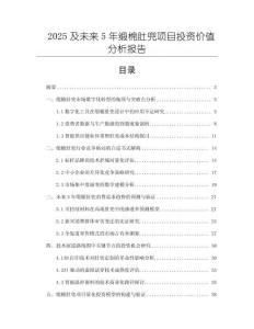 2025及未來5年緞棉肚兜項目投資價值分析報告