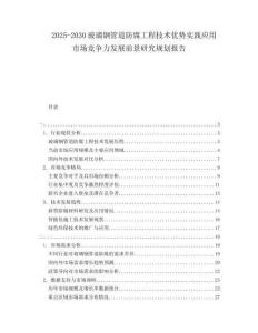 2025-2030玻璃鋼管道防腐工程技術(shù)優(yōu)勢實踐應(yīng)用市場競爭力發(fā)展前景研究規(guī)劃報告