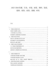 2025-2030傳媒，行業，市場，深度，調研，發展，趨勢，投資，前景，預測，研究