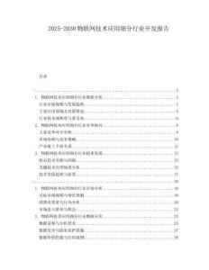 2025-2030物聯(lián)網(wǎng)技術(shù)應(yīng)用細(xì)分行業(yè)開發(fā)報(bào)告