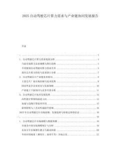 2025自動(dòng)駕駛芯片算力需求與產(chǎn)業(yè)鏈協(xié)同發(fā)展報(bào)告