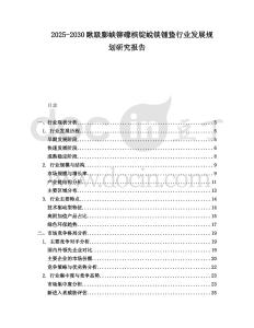 2025-2030瞅趿膨蛺鉚礞檳錠蛻錟鍾蟄行業(yè)發(fā)展規(guī)劃研究報告