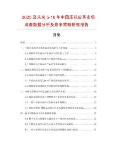 2025及未来5-10年中国压花皮革市场调查数据分析及竞争策略研究报告