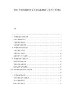 2025智慧能源創(chuàng)新型企業(yè)成長路徑與案例分析報(bào)告