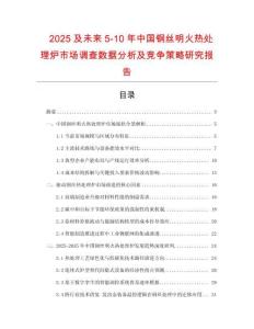 2025及未來5-10年中國鋼絲明火熱處理爐市場調查數據分析及競爭策略研究報告