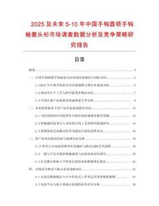 2025及未來5-10年中國手鉤圓領手鉤袖套頭衫市場調查數據分析及競爭策略研究報告