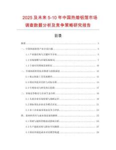 2025及未來5-10年中國熱熔鋁箔市場調查數據分析及競爭策略研究報告