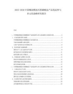 2025-2030中國椰油酰胺丙基磺酸鹽產品線延伸與多元化戰略研究報告
